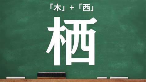 木象|木へんに象で「橡」の読み方とは？使い方など簡単に。